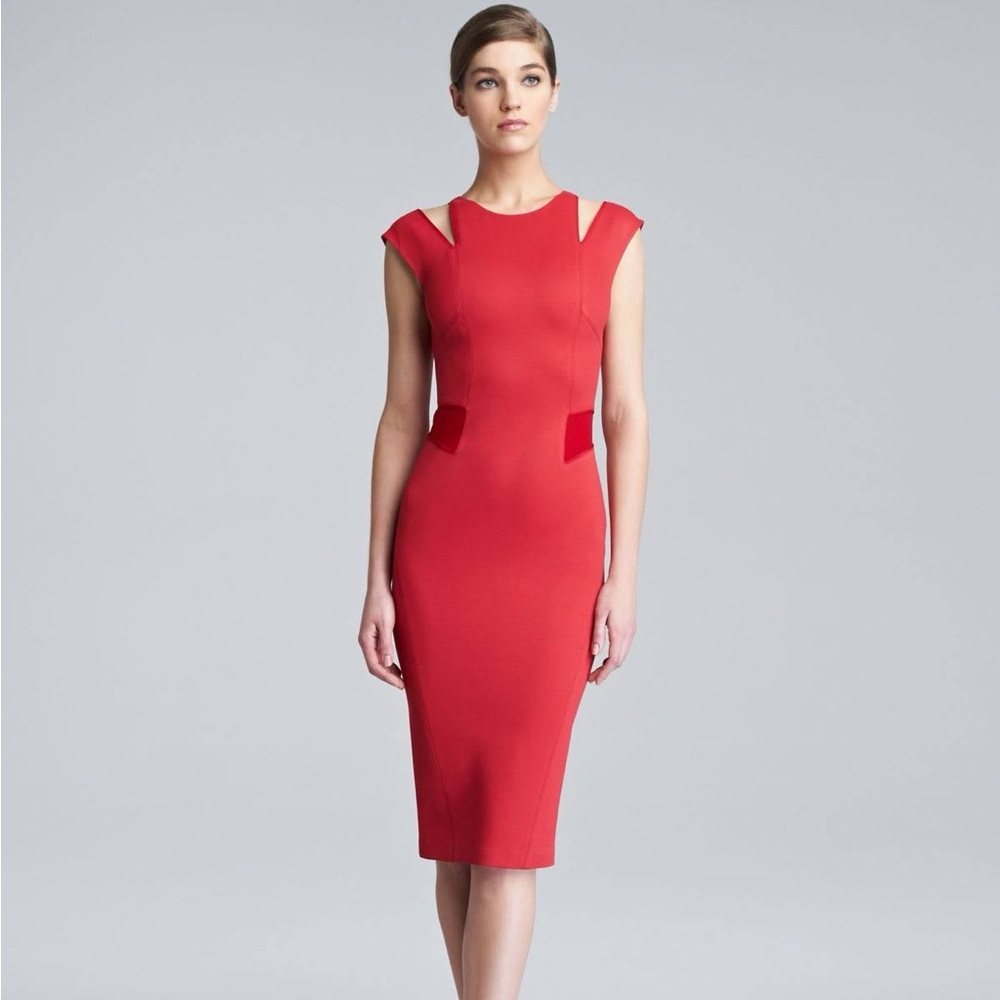 Zac Posen dress